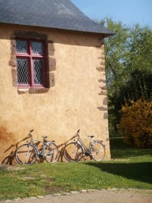 Gîte Les Grandes Haies à Degré