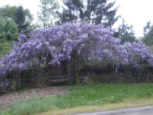 Gîte Le Moulin de Courmenant