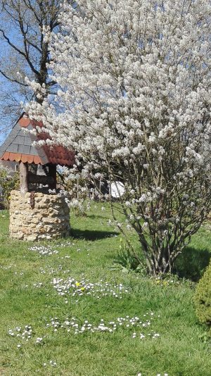 Gîte La Valérianne