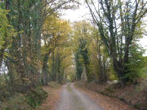 Gîte La Petite Lande