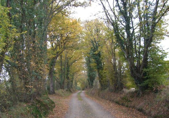 La Petite Lande