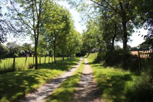 Gîte La Petite Lande