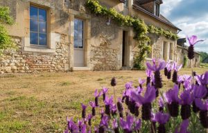 Gîte La Sigonnière