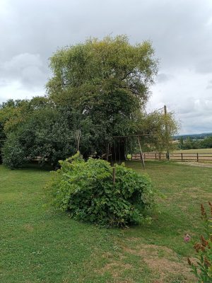 Gîte LA GARENNE