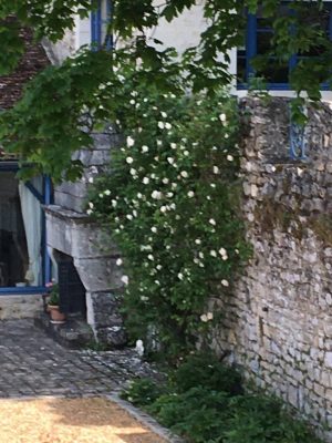 Gîte Le Mothez