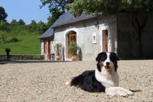 Gîte La Bergerie