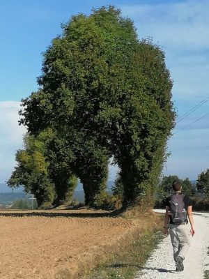 Gîte A LA FERME DU BONHEUR