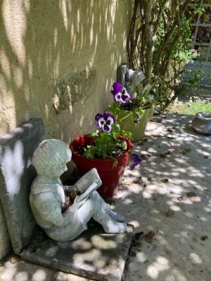 Gîte La Brulonnière