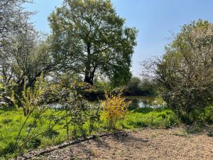Gîte Le “48 heures au Mans” lieu dit La Haie