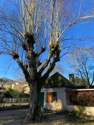 Gîte Au Bord de l’eau, la maison du clapotis