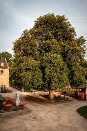 Gîte La Maison du Gasseau