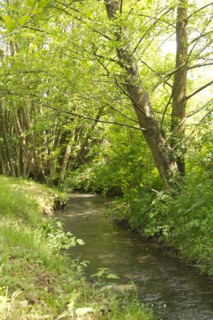Chambre d’hôtes La Gaudruère