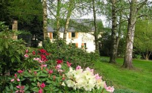 Chambre d’hôtes La Gaudruère