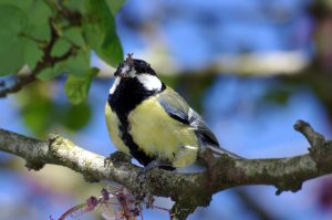 Chambre d’hôtes L’école des garçons