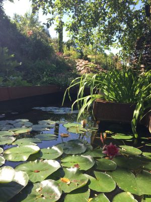 Chambre d’hôtes L’école des garçons