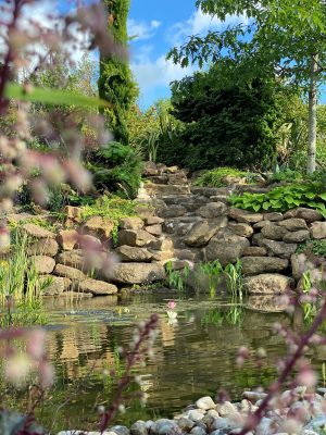 Chambre d’hôtes L’école des garçons