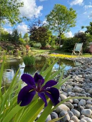 Chambre d’hôtes L’école des garçons