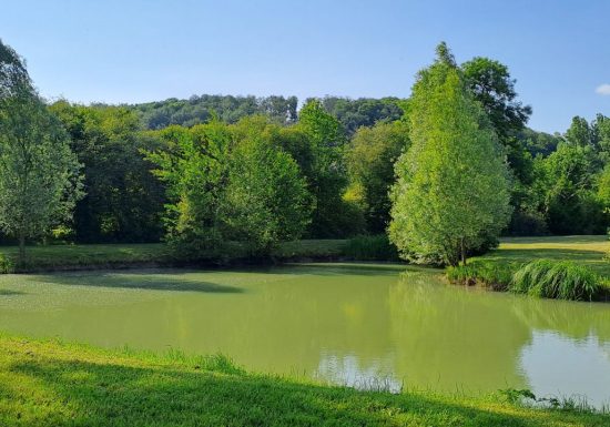 Le Moulin de Brives