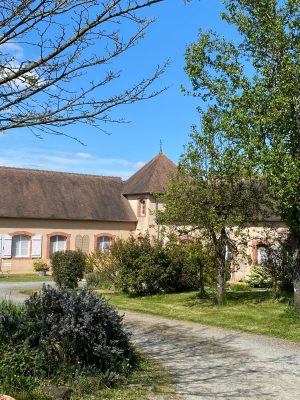 Chambre d’hôtes LES PAIRINES