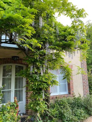 Chambre d’hôtes LES PAIRINES