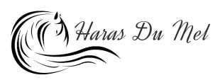 HORSERIDING – HARAS DU MEL