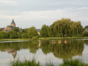 Pêche plan d’eau de Tennie