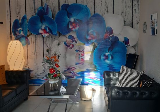 HOTEL SAINT FRANÇOIS