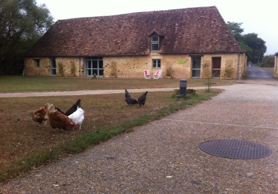 GITE LES NONNETTES DU DOMAINE DES MESANGERES