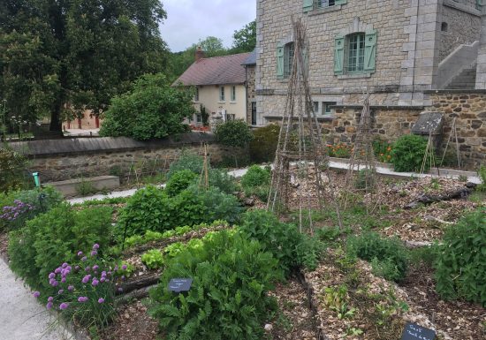 Domaine du Gasseau garden
