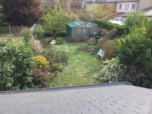 Gite du Perroquet Vert Vert
