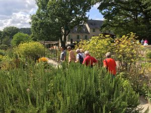 Domaine du Gasseau garden