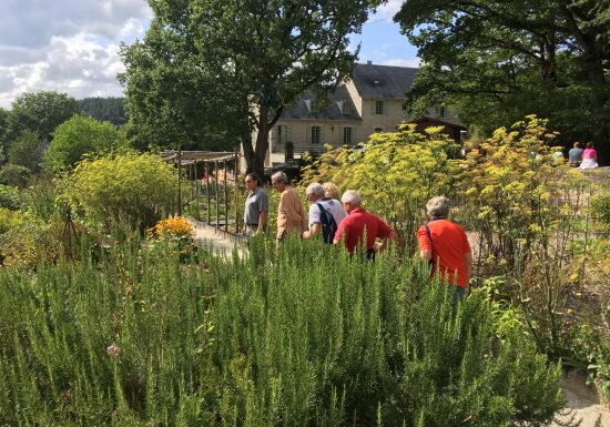 Domaine du Gasseau garden