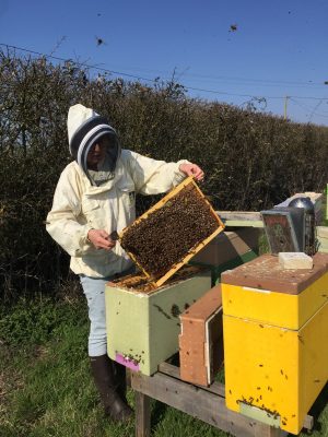 Boutique Rêve d’abeilles