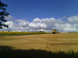 PARCOURS CYCLO – CAP SUR LE MAROLLAIS