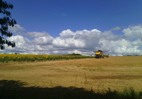 PARCOURS CYCLO – CAP SUR LE MAROLLAIS