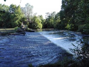 CLOS SUR LOIR COTTAGE – JARDIN RENARD