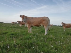 Vente de bocaux à La Ferme Des Roussets