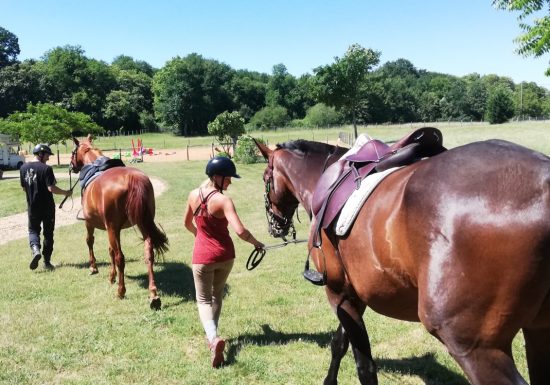 Écurie/élevage des Rosiers