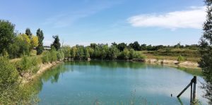 Écurie/élevage des Rosiers