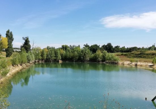 Écurie/élevage des Rosiers