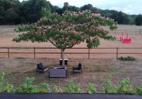 Écurie/élevage des Rosiers