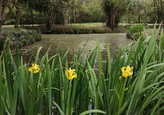 Gîte “Martin Pêcheur”