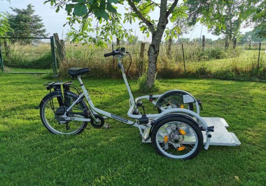 RENTAL AND DELIVERY OF LOMO WHEELS, PUSH BIKES WITH ELECTRICAL ASSISTANCE AND LAUNCHING CHAIRS FOR PEOPLE WITH REDUCED MOBILITY