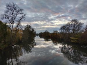 CLOS SUR LOIR COTTAGE – JARDIN RENARD