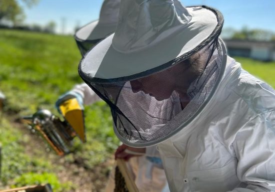 Vente de bocaux à La Ferme Des Roussets