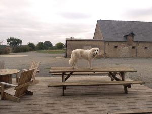 L’Écurie des Roussets