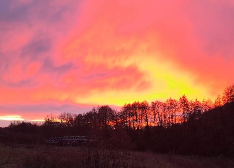 Aire de stationnement dans un camping à la ferme