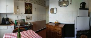 CLOS SUR LOIR COTTAGE- JARDIN YUCCAS