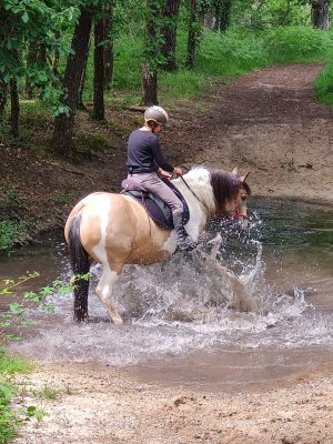 Chapitalia, balades à cheval