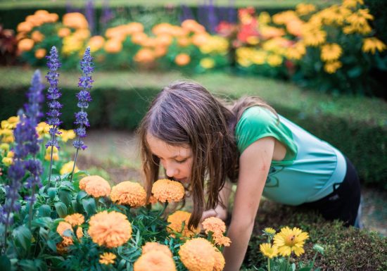 Le joyau de Courtanvaux